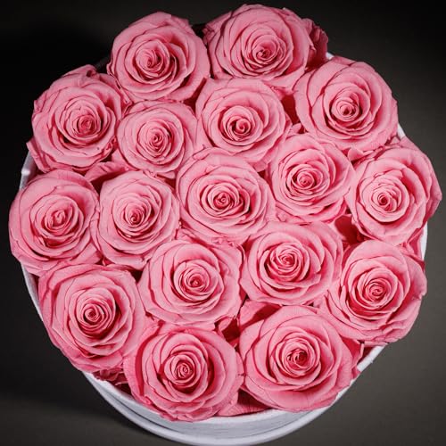 Prifroti 17 Flowers in a Luxury Suede Box, Birthday Gifts for Women, Preserved Flowers, Mothers Day Roses Gift for Mom, Light Pink - color: Light Pink, size: 17 Roses