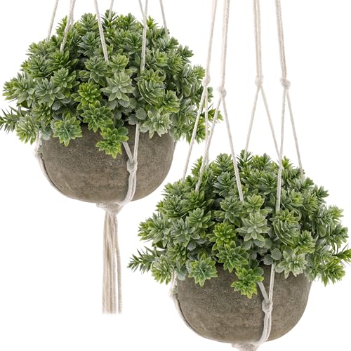 Gresorth 2 Pack Artificial Hanging Plant Decoration Fake Draping Potted Plant Display Realistic Faux Topiaries Model for Patio Birthday Garden - with Hanging Rope - color: E - 2 Pack