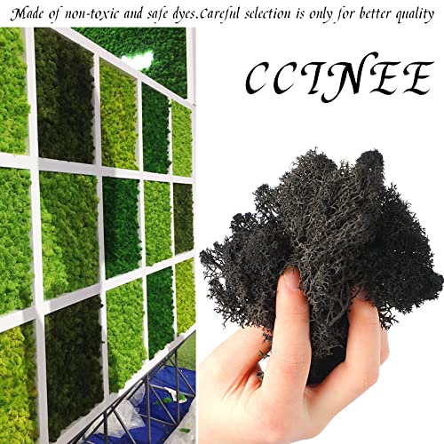 CCINEE Moss Preserved, 4 OZ Fake Reindeer Moss for Potted Plants for Craft Arts Floral Wall Decor Wedding Centerpieces Fairy Garden Artificial Terrariums Decoration for Christmas(Black) - color: Black