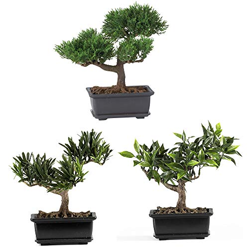 Nearly Natural 8.5in. Bonsai Silk Plant Collection (Set of 3) - size: 8.5 in