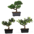Nearly Natural 8.5in. Bonsai Silk Plant Collection (Set of 3) - size: 8.5 in