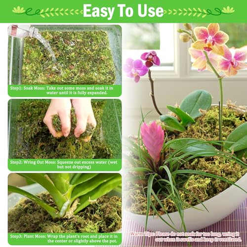 Riare 7OZ Premium Sphagnum Moss for Plants- 10QT Natural Dried Plant Moss for Potted Plants, Orchid Moss for Repotting, Soft Green Decorative Moss for Succulents, Reptiles & DIY Crafts - color: 10 QT(Appx.7oz)