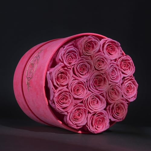 Prifroti 17 Flowers in a Velvet Pink Box, Birthday Gifts for Women, Preserved Flowers, Mothers Day Roses Gift for Mom, Pink - color: Pink | Pink Box, size: 17 Roses