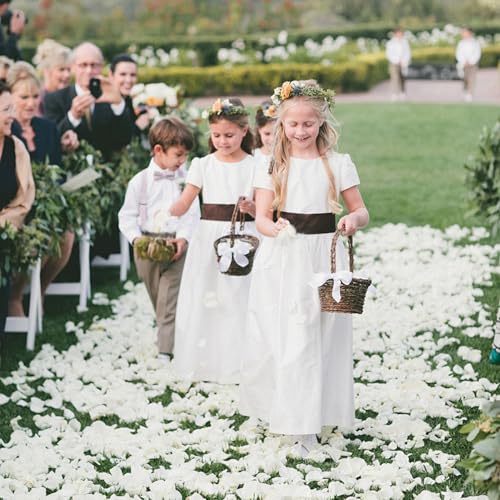 1500Pcs Real Dried Ivory White Hydrangea Petals for Wedding Petal Showers Romantic Evenings Proposal Decorations DIY Crafts Party Favors (1.06 oz)