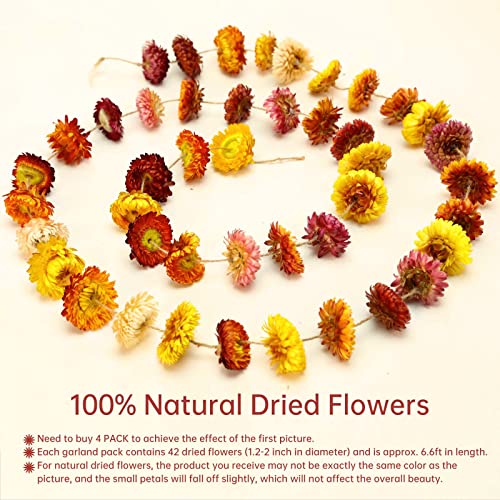 Christmas Decorations, 10ft Dried Flowers Garland Real Daisy Sunflower Garlands Dry Flower Chain with 42 Colorful Flower Heads for Boho Home Wedding Party Wall Hanging Bridal Window Indoor Decor - size: 1PCS-10FT-Multi-color