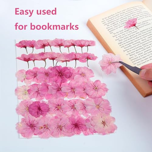 48 Pcs Mix Natural Dried Pressed Cherry Blossoms for Floral Cake Decorating, Cocktail Garnish, Resin Jewelry Making, DIY Art Crafts (Pink Sakura) - color: Pink Sakura
