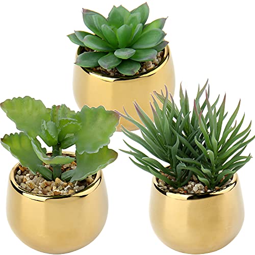 Briful Small Artificial Succulents in Pots Set of 3 Realistic Faux Succulents Plants with Gold Ceramic Pots Cute Mini Fake Plants Decor for Modern Home Table Office Desk Bathroom Shelf Decoration - color: Style #10