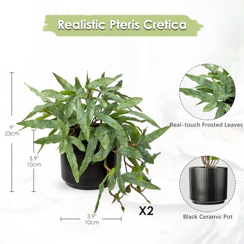Briful Faux Plants Indoor 9'' Artificial Potted House Plant with Black Ceramic Pot Fake Pteris Cretica Fern Plant for Home Office Room Desk Shelf Decor Indoor - color: Fake Plant#1