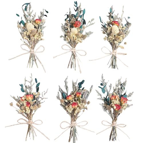 xin's convey Mini Dried Flower Bouquet (Pack of 6), Rose Bouquets, Party Favours, Bohemian Plate Decoration, Birthday Cake Dried Flower Gift Box Companion, Photography Props (Rose) - color: Rose