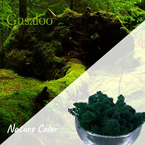 Moss Preserved Artificial Moss Natural Fresh Green Moss for Craft Arts Floral Project Wall Decor Table Decor Wedding Centerpieces Garden Terrariums Decoration -Dark Green 3.5OZ - color: Darkgreen, size: 3.5oz