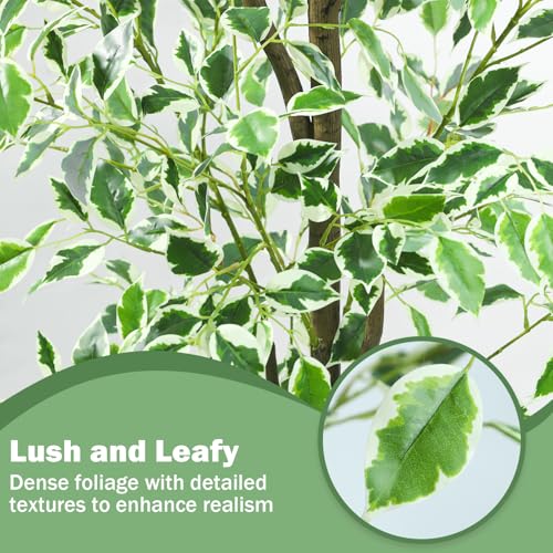 Caxchiling Fake Ficus Tree 6FT,Artificial Floor Plants for Indoor Outdoor, Lifelike Potted Tree with Moss Topper and Cotton Basket, Home Office Living Room Bedroom Doorway Decor (White-Edged Leaves) - color: White Ficus