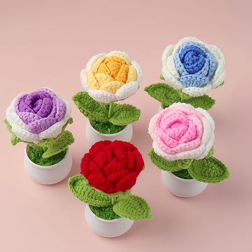 Crochet Rose Potted, 2pcs Mini Artificial Plants Rose Flowers Potted Plants Handmade Knitting Flower for Family and Friends, Crochet Flowers for Home Car Decor (Red) - color: Red Rose