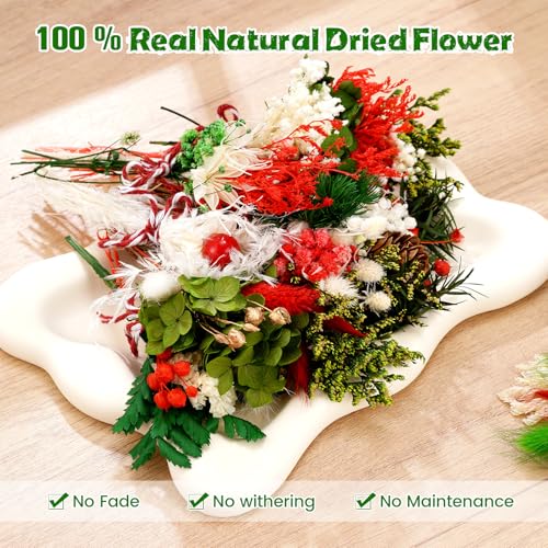 10/12/24/36 Pack Mini Dried Flowers for Vase Christmas in July Wedding Various Mini Bouquet Dried Small Wildflowers Natural Flowers Bulk for Crafts DIY Decor (12, Christmas Color) - size: Christmas Color