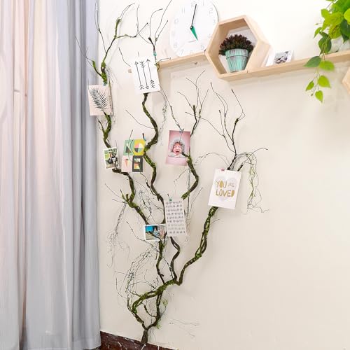 2Pcs 67in Artificial Trees Branches for Decoration Fake Cherry Blossom Trunk Willow Vines Garland Limb Twigs Moss Plants Wall Hanging Photo Home Garden X'Mas Christmas Thanksgiving Decor - size: 67 INCH