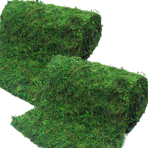 FAICOIA 2 Pcs Floral Moss Rug Roll Dried Moss Sheets for Crafts Table Runner Fairy Gardens Wedding Woodland Decor 12" x 71" Preserved Green Moss Mat for Forest Decoration Carpet Grass Wall 30x180cm - color: 2 Pcs 12 x 71 Inch/30 x 180 cm