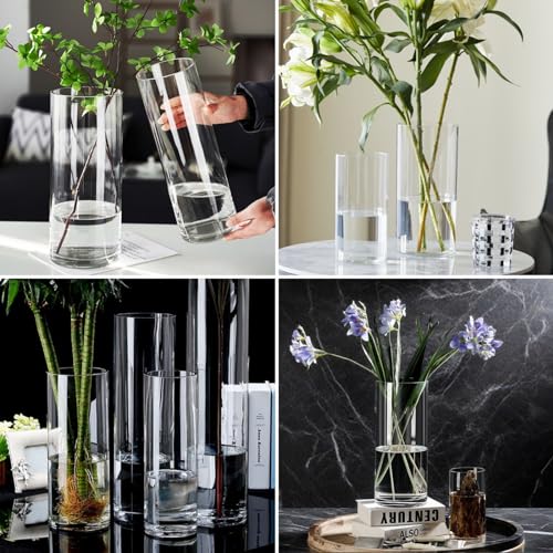 4 Large Acrylic Clear Cylinder Vase Set with 4 Spiral Ikebana Stem Holder Ring, Unbreakable Tall Plastic Hurricane Vases for Wedding Centerpieces Flower Bouquet Decor (4 Vases + 2 Holder) - color: 4 Clear - L