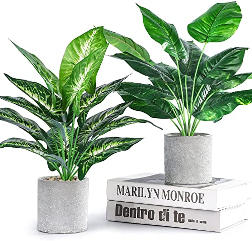 Der Rose Bundle of 2pcs 16" Fake Plants Artificial Plants and Set of 2 Fake Succulent Plants for Farmhouse Bathroom Kitchen Office Home Decor Indoor