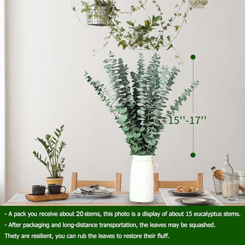 Tavkite 20 Pcs Dried Eucalyptus Stems for Shower, 17'' Natural Real Preserved Eucalyptus Leaves Branches Hanging, Fresh Plant Bundle for Home SPA Bathroom Wedding Wall Vase Decor, Bath Essentials - size: 20PCS