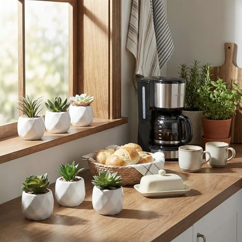 MyGift Mini Assorted Green Faux Succulent, Indoor Fake Plants in Geometric Ceramic Pots, Set of 6 - color: White (Set of 6)