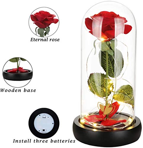 Beauty and The Beast Rose Set-The Best Holiday Surprise Gift for Mothers, Beautifully Decorated With Red Silk Roses, LED Lights, Dome Glass and Wooden Base - color: Black Base