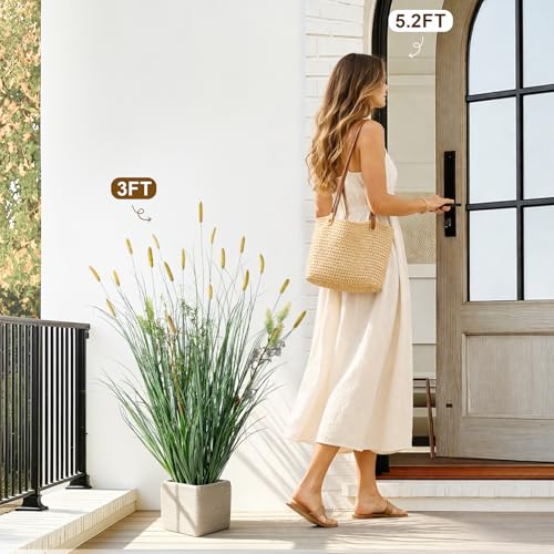2 Pack Lifelike Faux Plastic plantas Synthetic Pampas Grass Indoor Outdoor Realistic Floor Plants pet Friendly Artificial Grass for Home Office Wedding Patio Fake Grass Decor Housewarming Gift - color: Artificial Foxtail Grass, size: 3FT