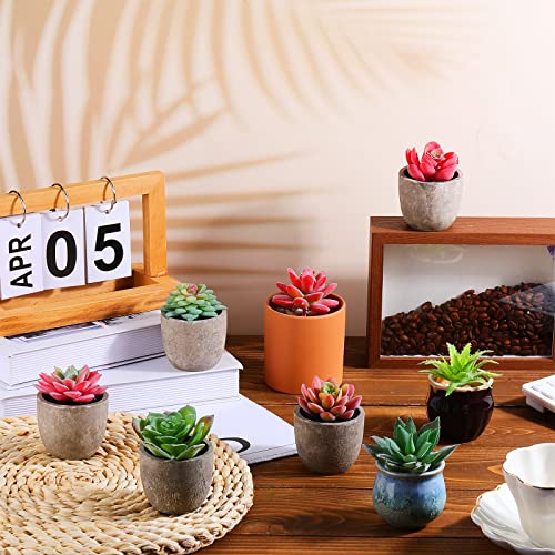 WILLBOND 50 Pcs Bulk Mini Artificial Succulents Plants Assorted Unpotted Realistic Plants Fake Textured Succulent Picks Realistic Plastic Cactus Stems for Succulent Garden Home Decor (Normal Style) - color: Normal Style