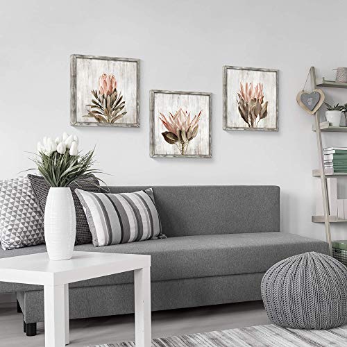 Pink Floral Wall Art Picture: Blossom Protea Flower Artwork Print on Rustic Wood Framed for Home Decor (16” x 16” x 3 Panels) - color: Wood Pink flower, size: 16'' x 16'' x 3 Panels