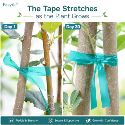 Easytle 2 Pack x 150 ft Stretch Tie Tape Roll, 1/2" Garden Tie Tape, Thick Sturdy Plant Ribbon Garden Green Vinyl Stake Gardening Tools for Indoor Outdoor Patio Plant Use - size: 300 ft