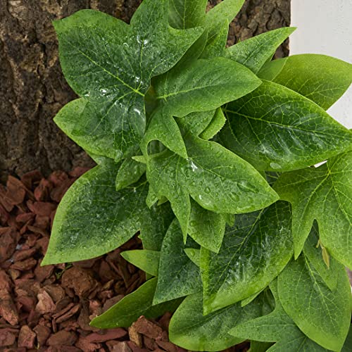 Reptile Plants for Terrarium, Amphibian Habitat Decor Artificial Hanging Plants with Suction Cup - Fake Sweet Potato Vine - color: Fake Sweet Potato Vine