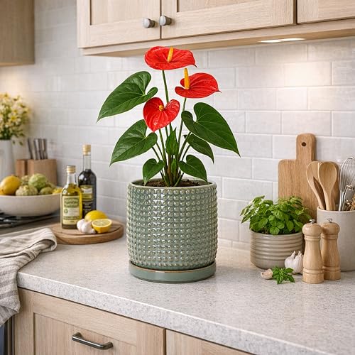 D'vine Dev 6 Inch Ceramic Beaded Stoneware Planter Pot - Flower Pot with Drainage Holes and Saucers for Indoor Succulent Plants or Flowers, Olive, 27-C-X-0 - color: Olive, size: 5.8 Inch