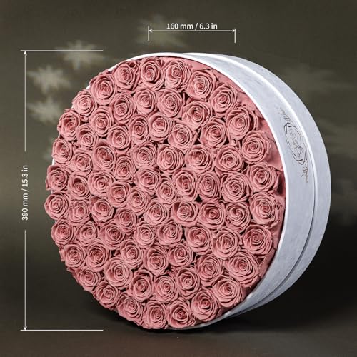 Prifroti 75 Preserved Roses in Suede Box – Luxury Rose Flower Arrangement, Preserved Flowers Gifts for Women, Wife or Mom – Birthday, Anniversary, Valentine’s Day, Mother's Day (Dusty Rose) - color: Dusty Rose, size: 75 Roses