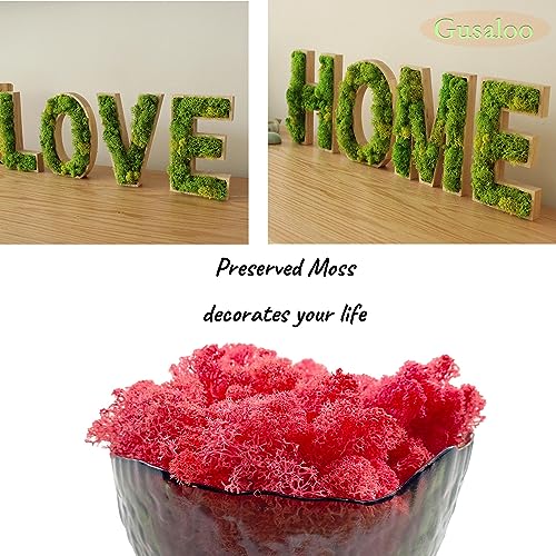 Moss Preserved Moss for Potted Plants Natural Fresh Green Reindeer Moss for Craft Arts Floral Wall Decor Decor Wedding Centerpieces Garden Artificial Terrariums Decoration for Christmas-Purple Red - color: Purplered, size: 3.5oz