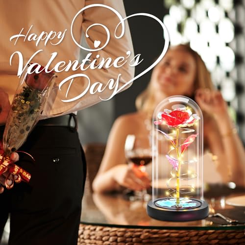 Otlonpe Preserved Forever Mothers Day Flower Gifts for Mom, Glass Light Up Rose Gifts for Women Grandma Girlfriend Wife Sister Her, Valentines Mothers Day Christmas Birthday Womens Gift (Red) - color: Red