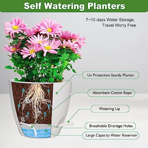 Vanslogreen Plant Pots, 7/6.5/6/5.5/5 Inch Self Watering Planters, Pots for Indoor Plants with Drainage Hole for Succulents, African Violet (Matte White) - color: Matte White-5pack, size: 7/6.5/6/5.5/5 inch