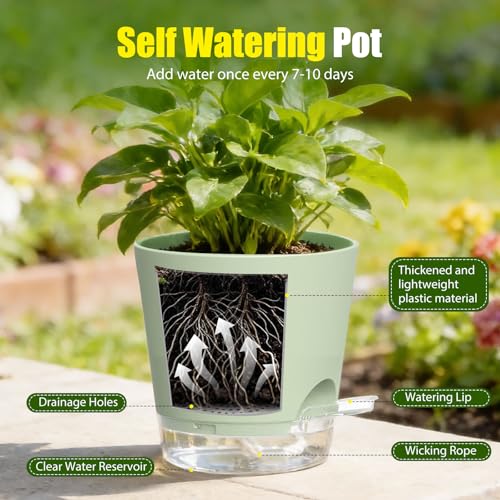 Plant Pots 7 Inch Self Watering Pots, 6 Pack Plastic Planters with Drainage Holes and Clear Saucers,Plastic Flower Pots for Indoor Out Door Plants(Green) - color: Green, size: 7 inch