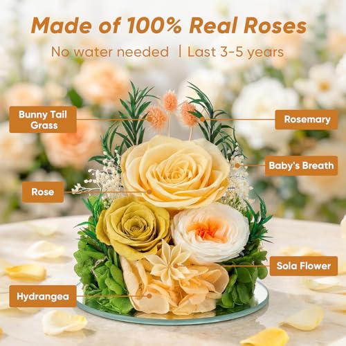 Preserved Rose in Glass Angel Figurine, Mothers Day Gifts for Mom/Wife/Grandma, Forever Flowers Rose Anniversary, Graduation or Birthday Gifts for Women Her - color: Champagne