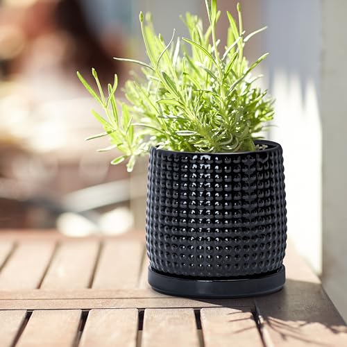 D'vine Dev 4 Inch Ceramic Beaded Stoneware Planter Pot - Flower Pot with Drainage Holes and Saucers for Indoor Succulent Plants or Flowers, Glossy Black, 27-C-Z-2 - color: Glossy Black, size: 4.3 Inch