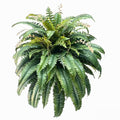 Giant Artificial Boston Ferns for Outdoors Large,Uv Resistant Lifelike Artificial Plants Large,Faux Fern Silk Ferns That Look Real,Fake Fern for Outside Lifelike 128 Branches - color: Fern Green (128 Branches)