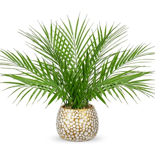 Briful Fake Plants 15'' Faux Palm Plant in Gold-White Pot | Realistic Tropical Artificial Plants Indoor for Home Farmhouse Mini Palm Tree Centerpieces for Tables Outdoors Kitchen Top Decor - color: 15'' Tall White and Gold