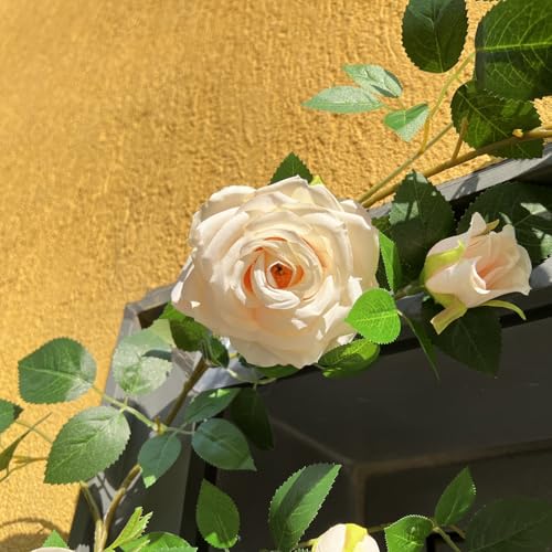 5.9FT Bendable Rose Flower Garlands, Artificial Silk Wild Roses Vine Hanging Flowers for Wall Fireplace Fence Table centerpieces Trellis Wedding Indoor Outdoor Spring Decor(Champagne,1PC) - color: Champagne, size: 1