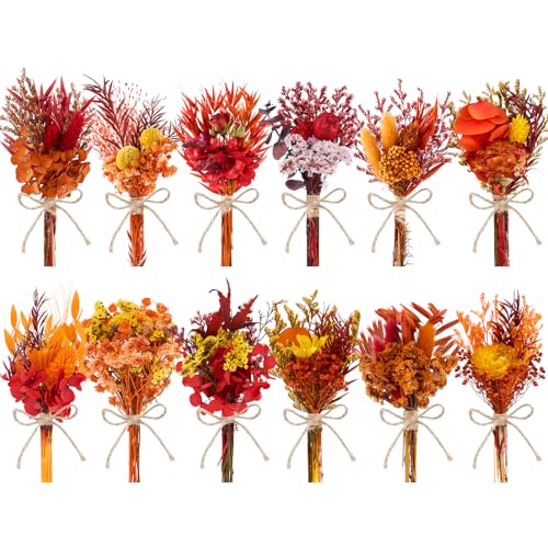 12PCS Fall Dried Flowers Bouquet for Vase Various Dried Wildflowers with Stems Mini Handmade Wildflowers Natural Real Flowers Bulk Flowers for Crafts DIY Wedding Decor (Fall,Burnt Orange Se - color: Burnt Orange Series