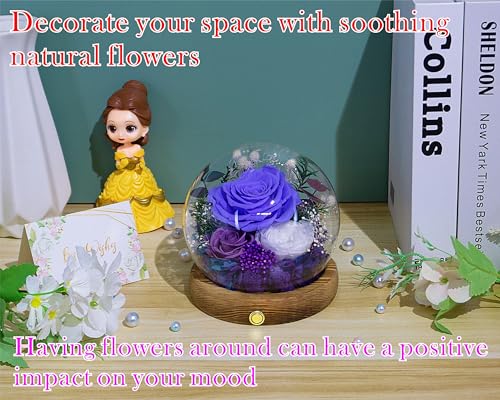 Valley of Rain & Forest Long-Lasting Real Flowers With Delivery | Unique Floral Gift For You to Send Love for All Occasions, Aesthetic Home Decor (Forever Preserved Violet Rose Arrangement) - color: Violet Rose, Purple rose, White Austin Rose