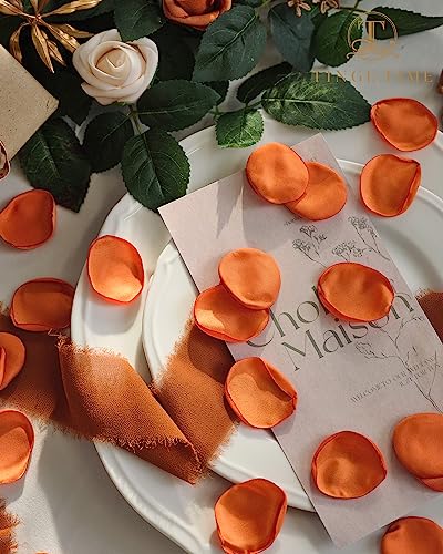 TINGE TIME 200pcs Silk Rose Petals Burnt Orange Flower Petals for Wedding, Flower Girl Basket, Aisle Runner, Romantic Dinner Centerpieces, Proposal, Party Confetti - color: Burntorange