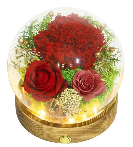 Valley of Rain & Forest Long-Lasting Real Flowers With Delivery | Unique Floral Gift For You to Send Love for All Occasions, Aesthetic Home Decor (Forever Preserved Red Carnation Arrangement) - color: Red Carnation Arrangement