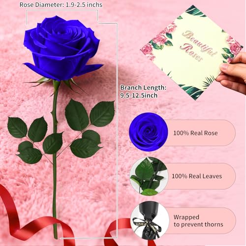 Blue Single Forever Roses in a Box,Preserved Flowers for Delivery,Preserved Rose Gifts for Women, Real Roses Gift for Her, Mom Birthday Gifts, Mothers Day Flowers,Valentines Flowers,Presents for Her - color: Blue-window