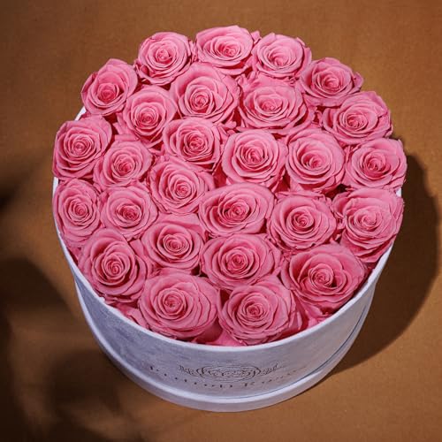 Prifroti 27 Flowers in a Luxury Suede Box, Birthday Gifts for Women, Preserved Flowers, Mothers Day Roses Gift for Mom, Light Pink - color: Light Pink, size: 27 Roses