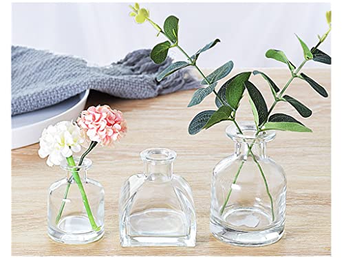 Set of 3 Mini Clear Glass Vase,Small Flower Bud Vase Hydroponics Planter Decorative for Flower,Table,Party,Home,Centerpieces(clear 1) - color: Clear 1