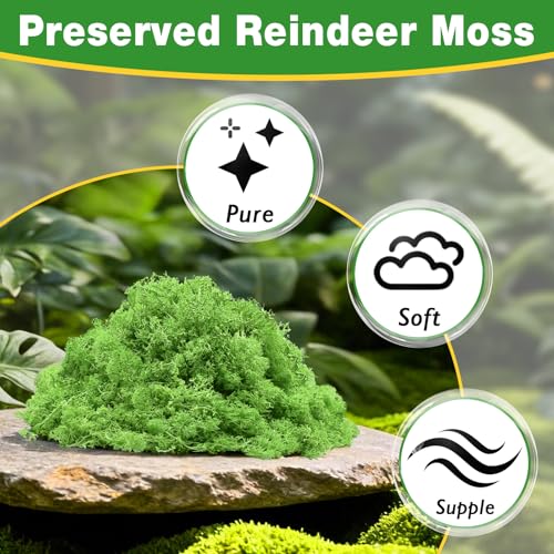 Halatool Preserved Moss for Crafts, Green Reindeer Moss for DIY Decorating Art Potted Fairy Garden Accessories Table Centerpieces Wedding Christmas Fairy Party Decor(1.1 LB)