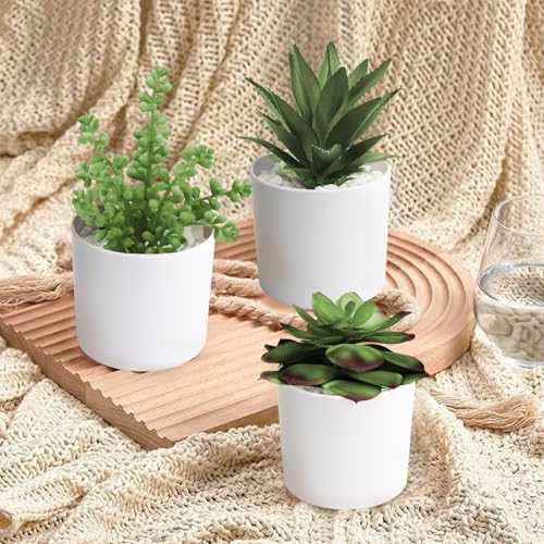 Hopewood Succulent Plants Artificial in White Pots Small Faux Potted Succulents Fake Plants in Vase Set of 3 - color: Faux Plants-white