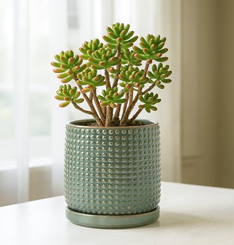 D'vine Dev 6 Inch Ceramic Beaded Stoneware Planter Pot - Flower Pot with Drainage Holes and Saucers for Indoor Succulent Plants or Flowers, Olive, 27-C-X-0 - color: Olive, size: 5.8 Inch